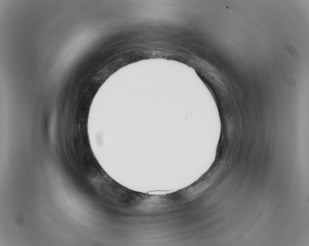 X0000110720382200907241212