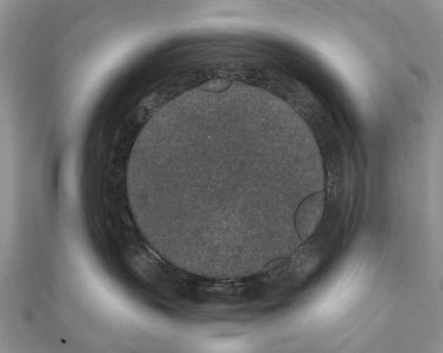 X0000110720383200907241212