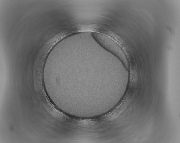 X0000110720385200907241211