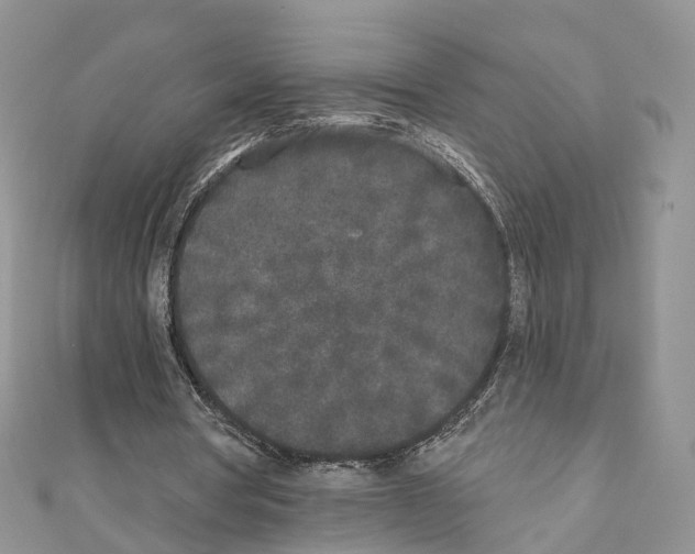 X0000110720386200907241211