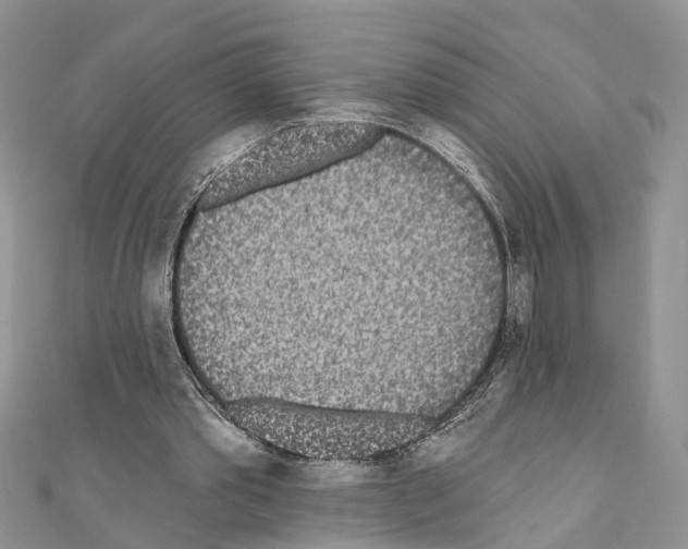 X0000110720389200907241211