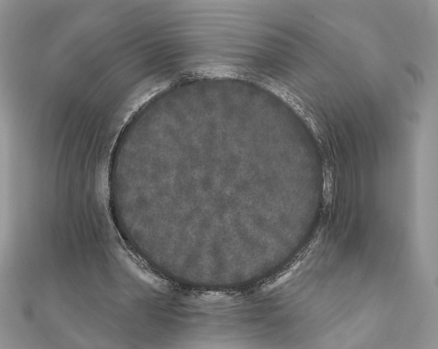 X0000110720390200907241211