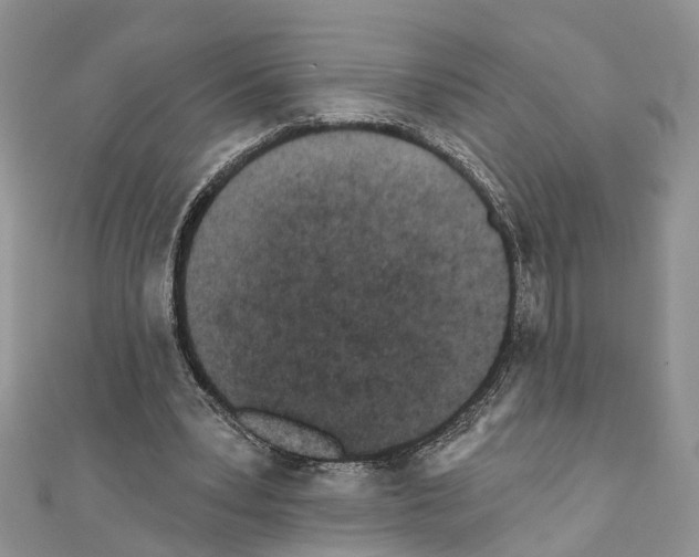 X0000110720391200907241211