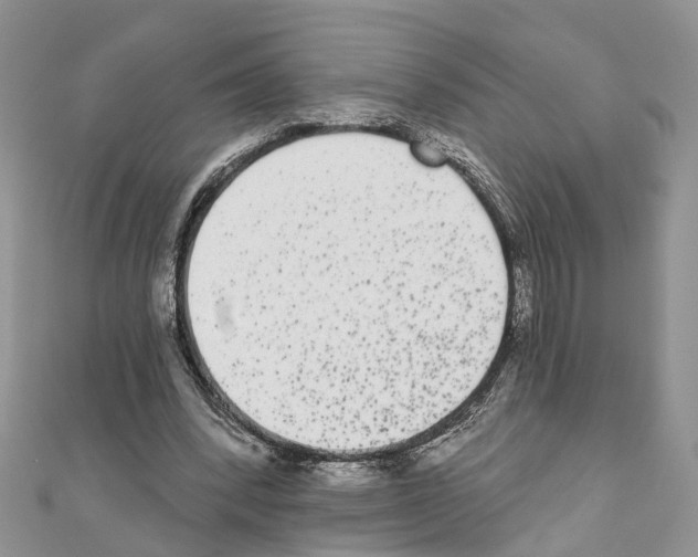 X0000110720392200907241211