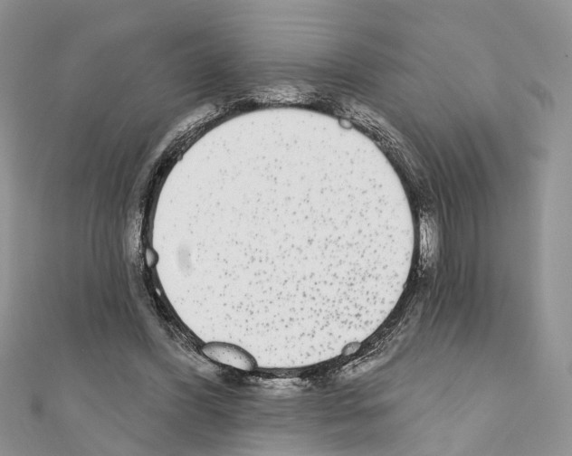 X0000110720396200907241211