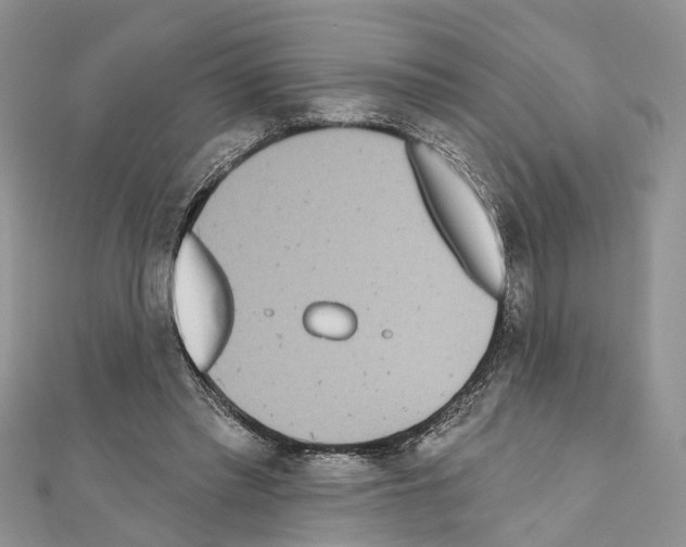 X0000110720397200907241211