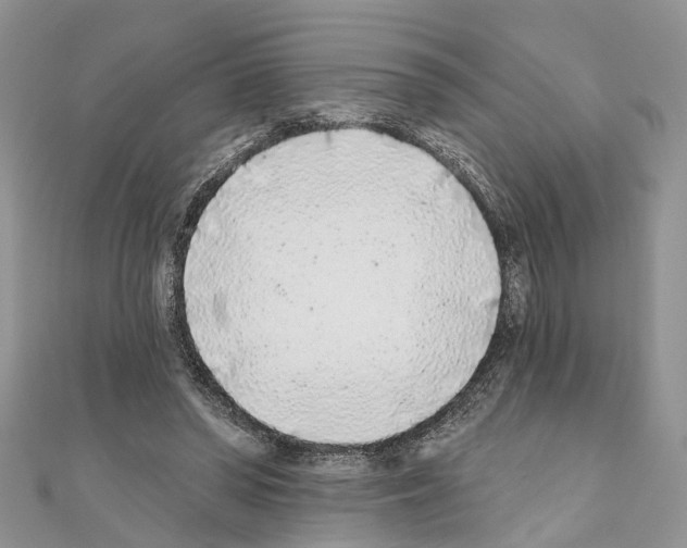 X0000110720398200907241211