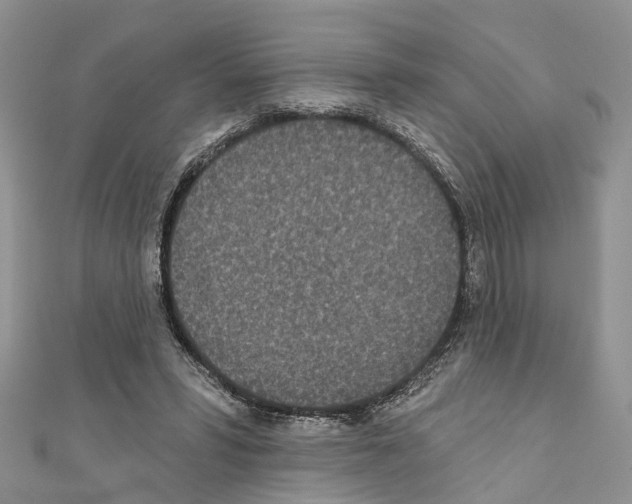 X0000110720399200907241211