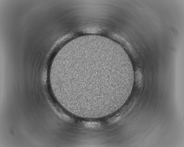 X0000110720400200907241211