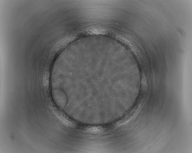 X0000110720402200907241211