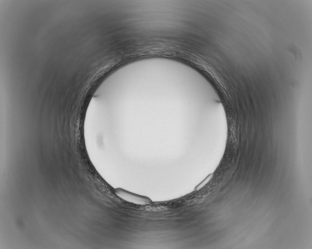 X0000110720403200907241211