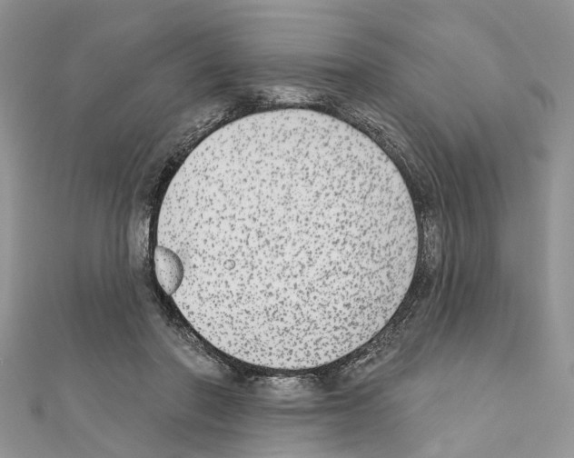 X0000110720406200907241211