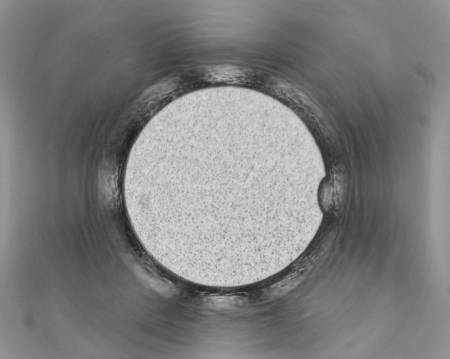 X0000110720408200907241211