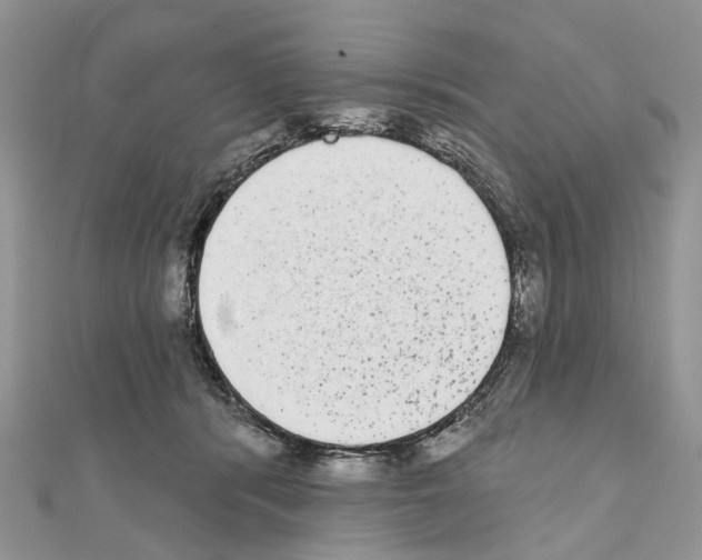 X0000110720416200907241211