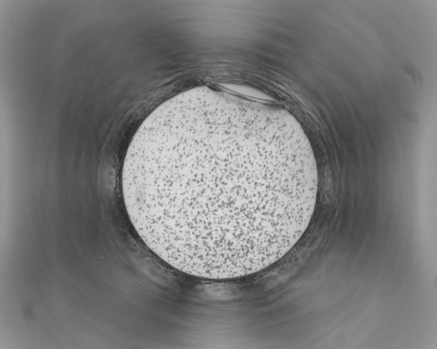 X0000110720417200907241211