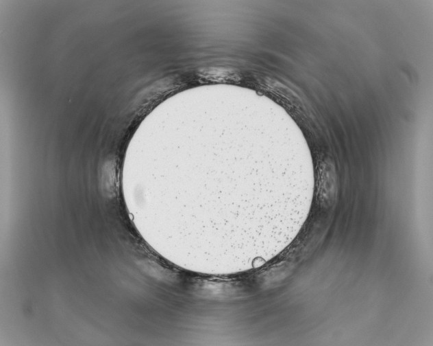 X0000110720420200907241211