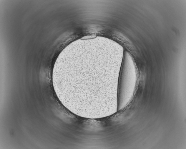 X0000110720421200907241211