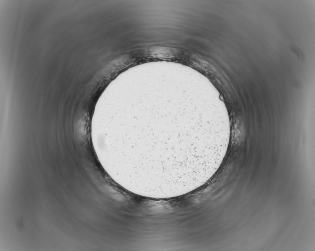 X0000110720424200907241211