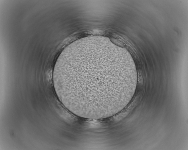 X0000110720425200907241211