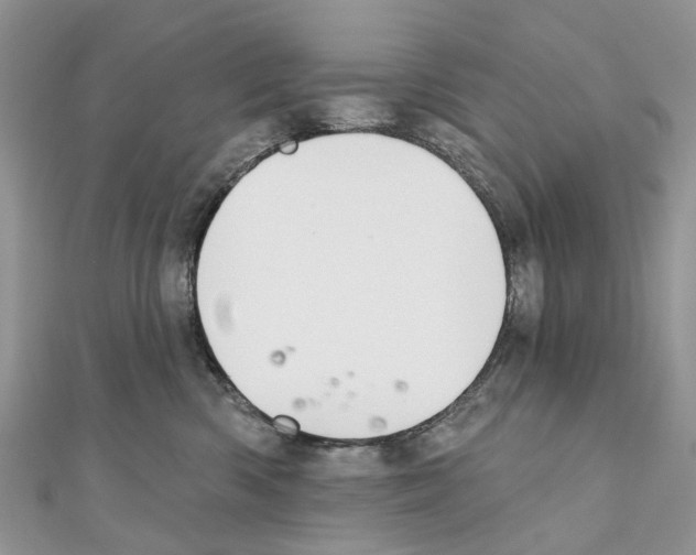 X0000110720426200907241211