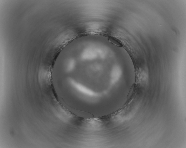 X0000110720427200907241211