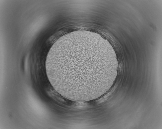 X0000110720429200907241210