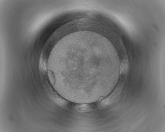 X0000110720431200907241210