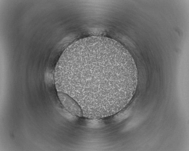 X0000110720432200907241210