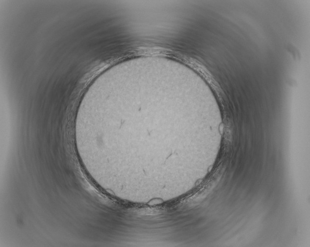 X0000110720433200907241210