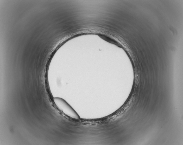 X0000110720434200907241210