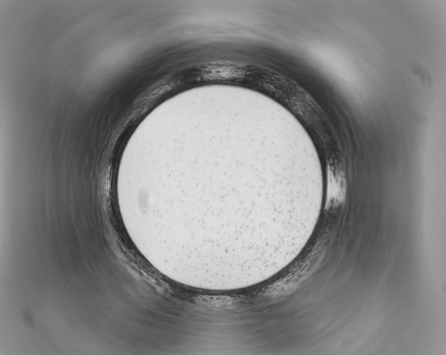 X0000110720435200907241210