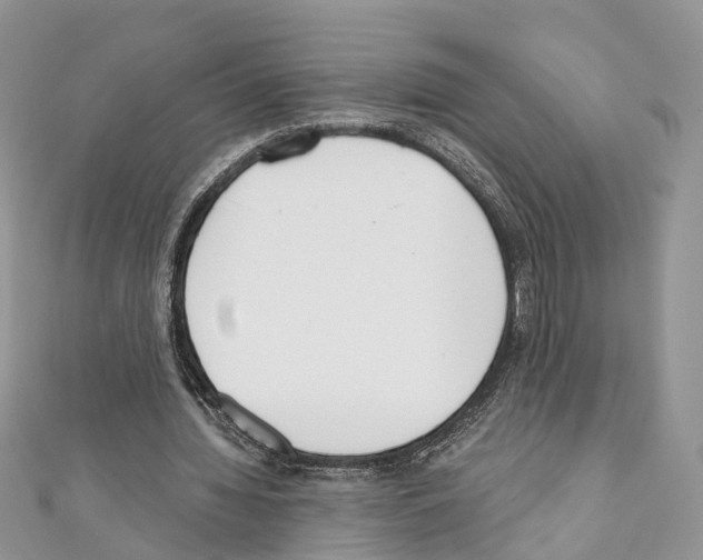 X0000110720436200907241210