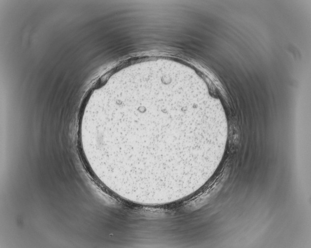 X0000110720437200907241210