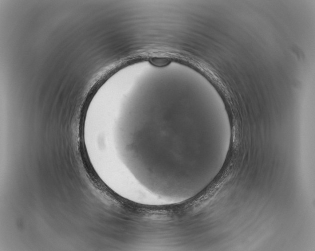 X0000110720438200907241210