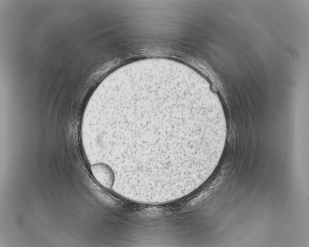 X0000110720441200907241210