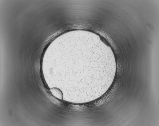 X0000110720442200907241210