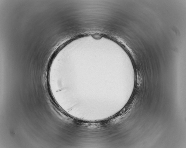 X0000110720443200907241210