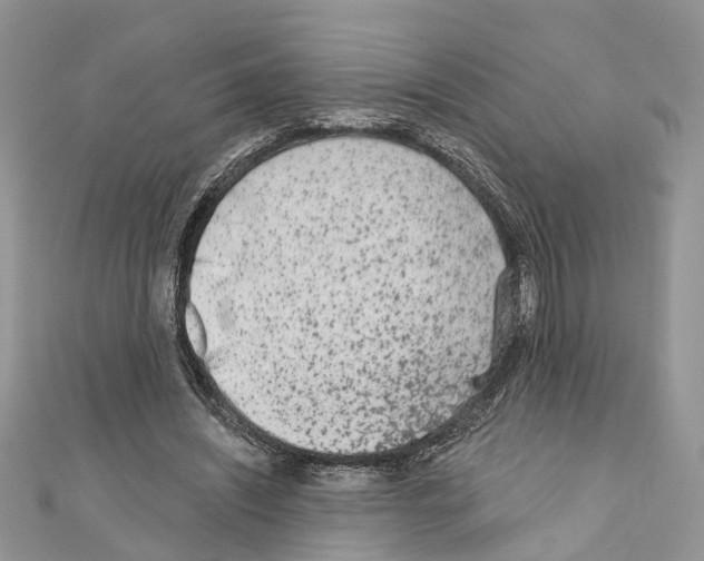 X0000110720444200907241210