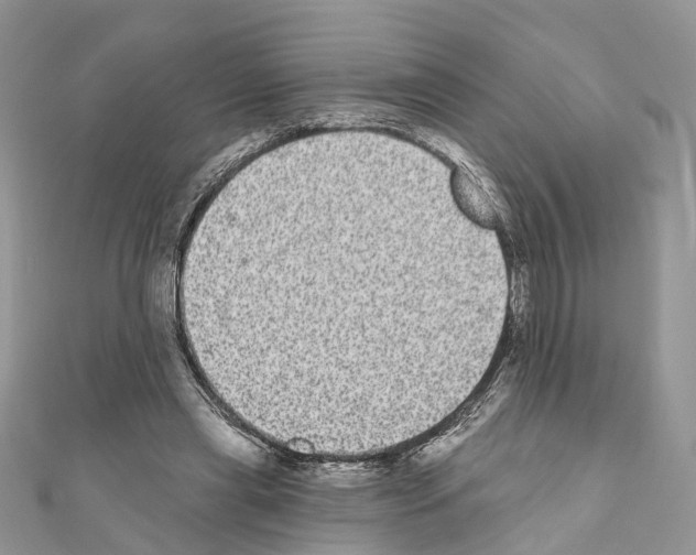 X0000110720445200907241210