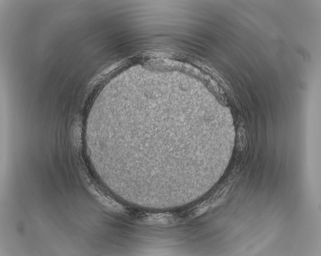 X0000110720446200907241210