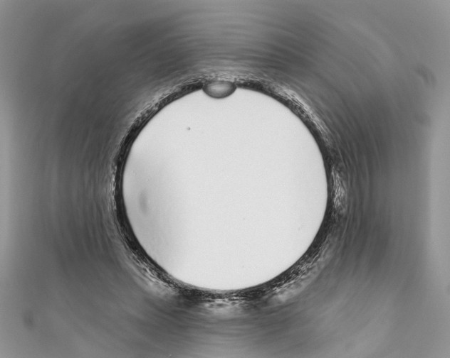 X0000110720447200907241210