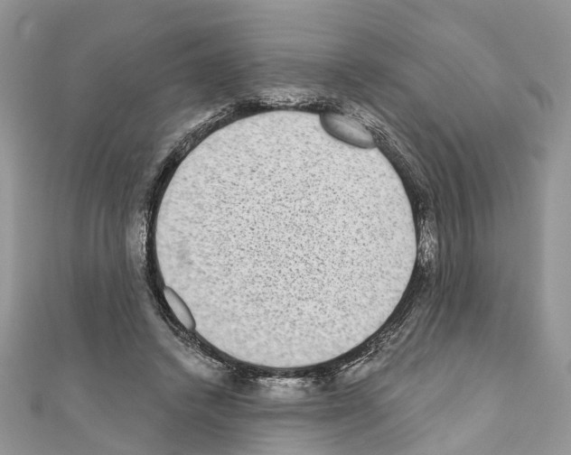 X0000110720448200907241210