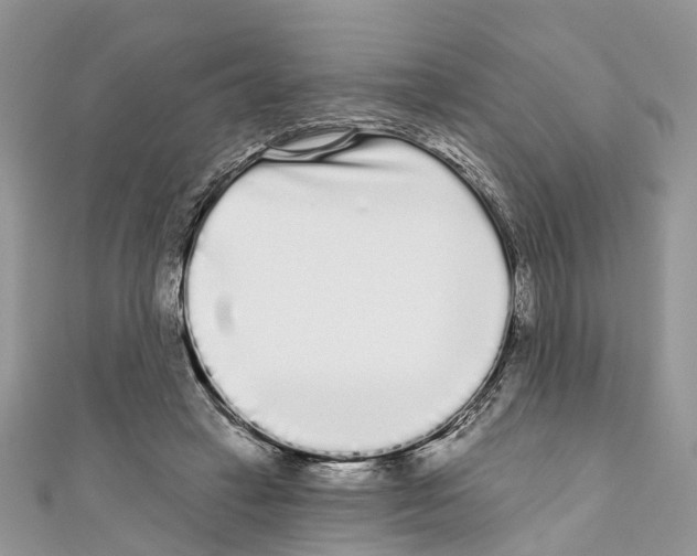 X0000110720449200907241210