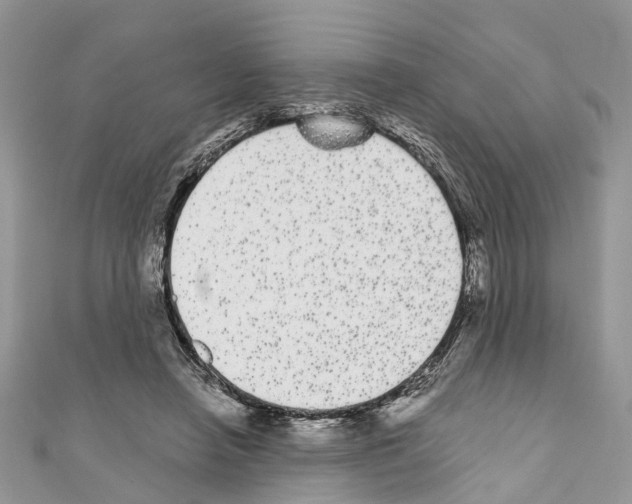 X0000110720450200907241210