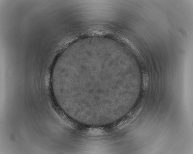 X0000110720451200907241210