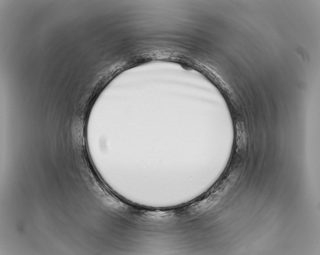 X0000110720453200907241210