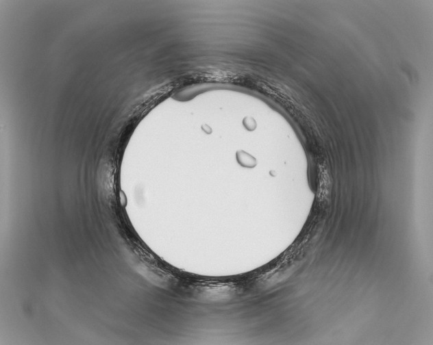 X0000110720456200907241210