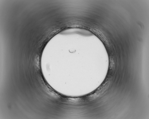 X0000110720457200907241210