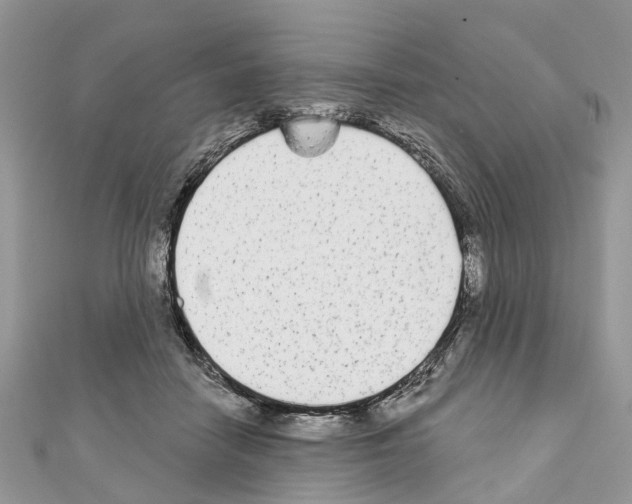 X0000110720458200907241210