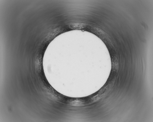 X0000110720460200907241210